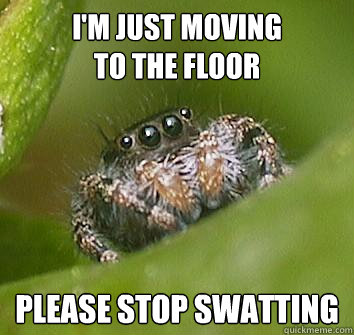 I'm just moving
to the floor please stop swatting  Misunderstood Spider