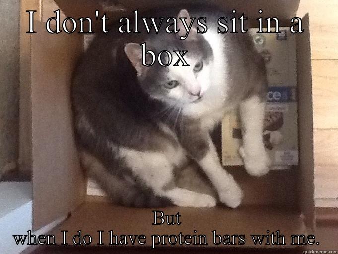 Sox in a Box - I DON'T ALWAYS SIT IN A BOX BUT WHEN I DO I HAVE PROTEIN BARS WITH ME. Misc