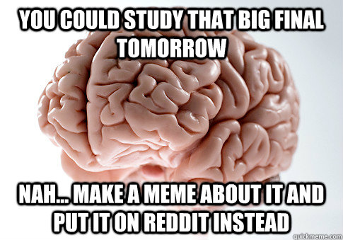 You could study that big final tomorrow nah... make a meme about it and put it on reddit instead  Scumbag Brain