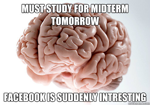 MUST STUDY FOR Midterm Tomorrow fACEBOOK IS SUDDENLY INTRESTING   Scumbag Brain