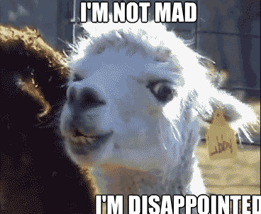 I'm not mad I'm disappointed  Disapproving Llama
