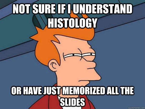 Not sure if I understand histology Or have just memorized all the slides  Futurama Fry