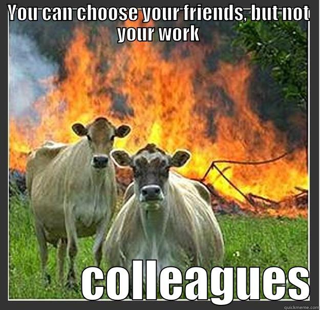 You can choose your friends... - YOU CAN CHOOSE YOUR FRIENDS, BUT NOT YOUR WORK           COLLEAGUES Evil cows