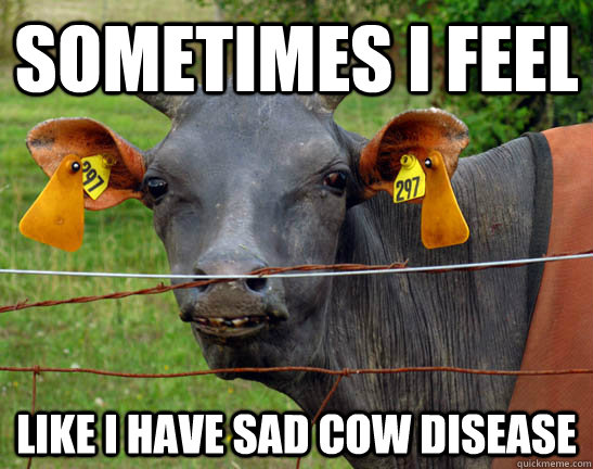 sometimes I feel Like I have Sad Cow Disease - sometimes I feel Like I have Sad Cow Disease  Depressed Cow