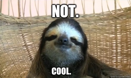 Not. Cool. - Not. Cool.  Chill sloth