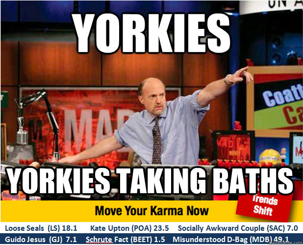 Yorkies yorkies taking baths  Jim Kramer with updated ticker