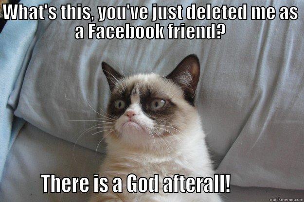 Facebook Delete - WHAT'S THIS, YOU'VE JUST DELETED ME AS A FACEBOOK FRIEND?        THERE IS A GOD AFTERALL!                Grumpy Cat