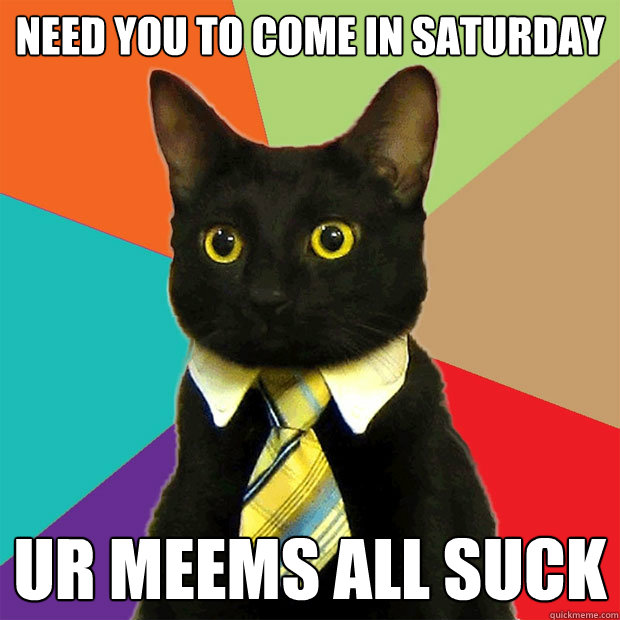 Need you to come in saturday ur meems all suck  Business Cat