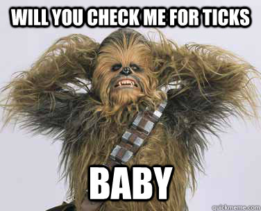 Will you check me for ticks baby  sexy chewbacca