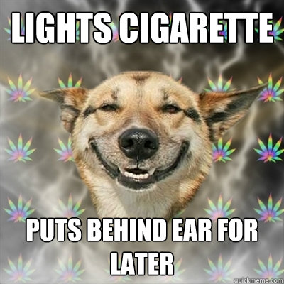 lights cigarette puts behind ear for later  Stoner Dog