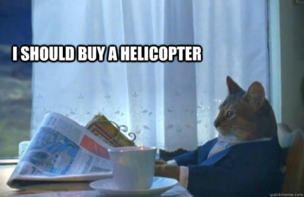 I should buy a helicopter  Sophisticated Cat