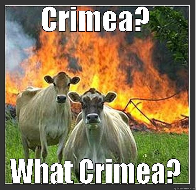 CRIMEA? WHAT CRIMEA? Evil cows