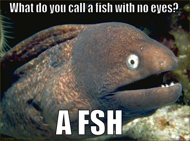 WHAT DO YOU CALL A FISH WITH NO EYES? A FSH  Bad Joke Eel