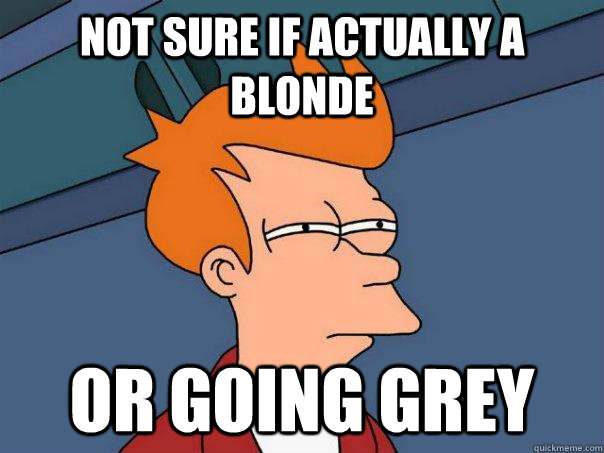 Not sure if actually a blonde Or going grey  Futurama Fry