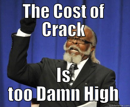 THE COST OF CRACK IS TOO DAMN HIGH Too Damn High