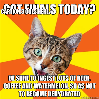 got finals today? be sure to ingest lots of beer, coffee and watermelon, so as not to become dehydrated Caption 3 goes here  Bad Advice Cat