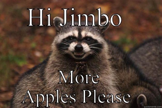 HI JIMBO  MORE APPLES PLEASE  Evil Plotting Raccoon