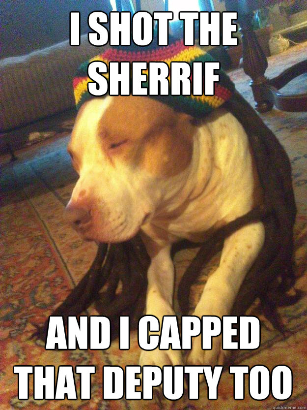 I shot the sherrif and i capped that deputy too  Rasta Dog