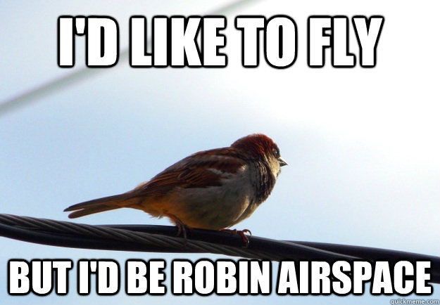 I'd Like to fly But I'd be robin airspace  Horizon Bird