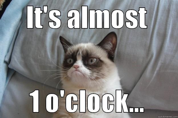 IT'S ALMOST 1 O'CLOCK... Grumpy Cat