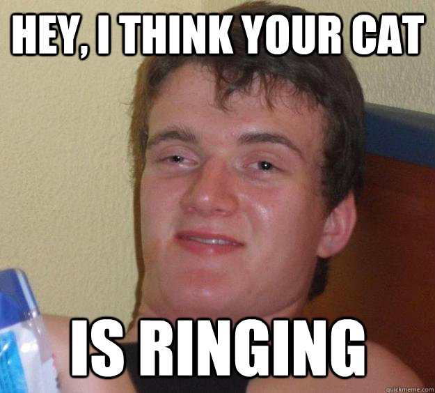 Hey, I think your cat is ringing  10 Guy