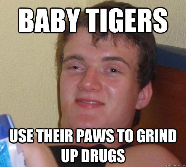 Baby tigers use their paws to grind up drugs  10 Guy