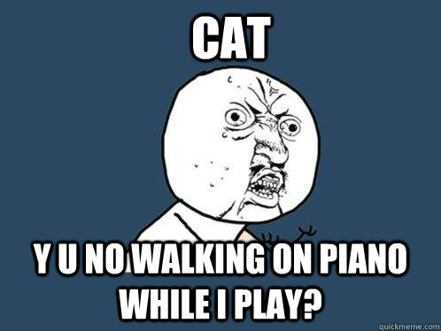 Cat y u no walking on piano while I play?  Y U No