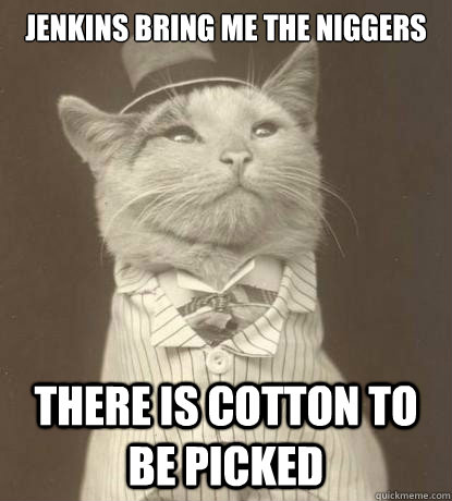 jenkins bring me the niggers there is cotton to be picked  Aristocat