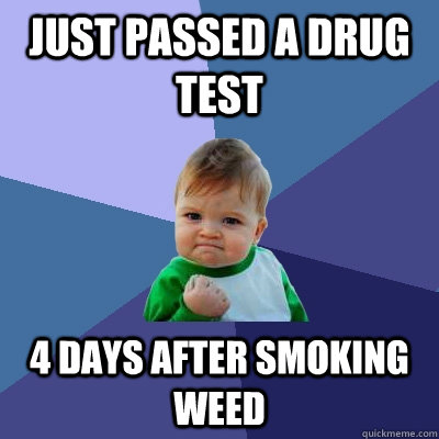 Just passed a drug test 4 days after smoking weed  Success Kid