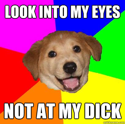 look into my eyes
 not at my dick  Advice Dog