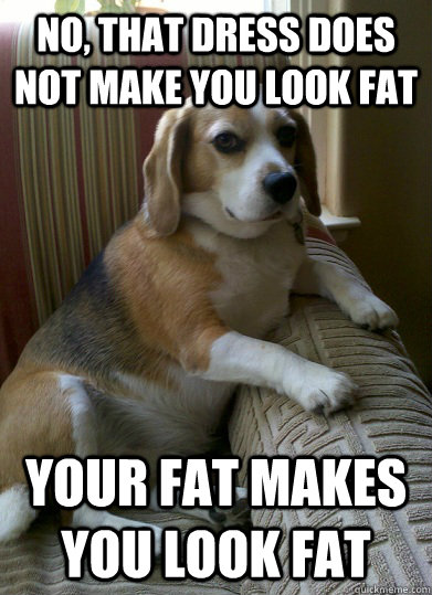 No, that dress does not make you look fat  Your fat makes you look fat - No, that dress does not make you look fat  Your fat makes you look fat  Judgmental Beagle