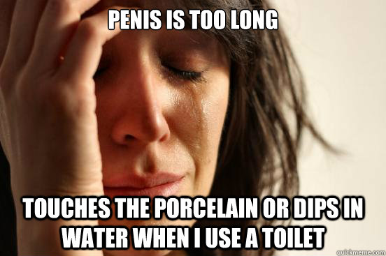 Penis is too long Touches the porcelain or dips in water when I use a toilet   First World Problems