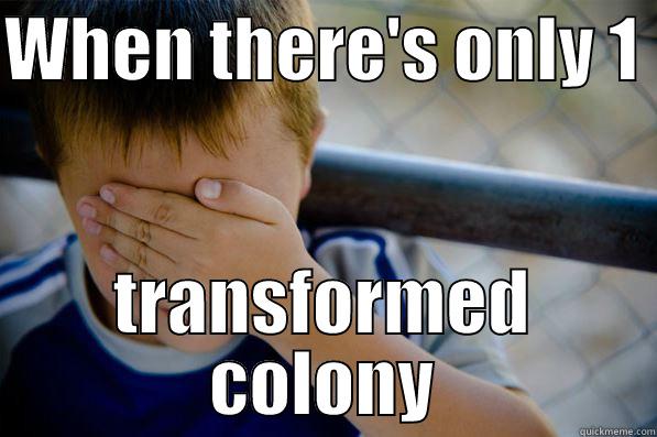 WHEN THERE'S ONLY 1  TRANSFORMED COLONY Confession kid