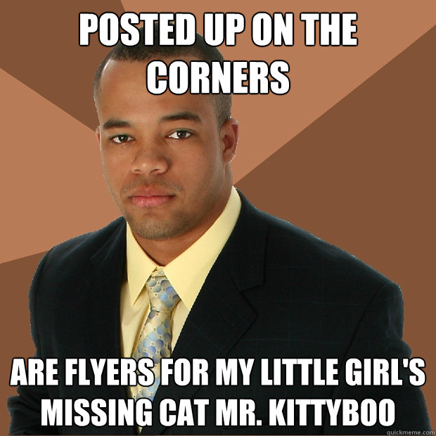 Posted up on the corners are flyers for my little girl's missing cat mr. kittyboo  Successful Black Man