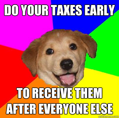 DO YOUR TAXES EARLY TO RECEIVE THEM AFTER EVERYONE ELSE  Advice Dog