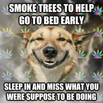 Smoke Trees to help go to bed early sleep in and miss what you were suppose to be doing  Stoner Dog