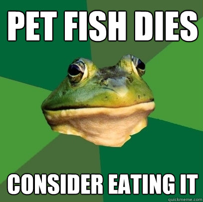 pet fish dies consider eating it - pet fish dies consider eating it  Foul Bachelor Frog