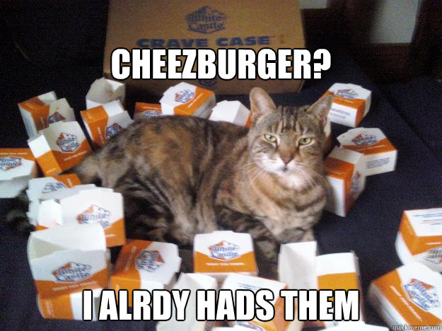 cheezburger? I alrdy hads them  White Castle Cat