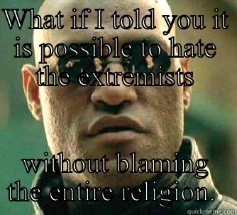 WHAT IF I TOLD YOU IT IS POSSIBLE TO HATE THE EXTREMISTS WITHOUT BLAMING THE ENTIRE RELIGION.  Matrix Morpheus