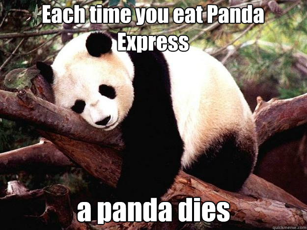 Each time you eat Panda Express a panda dies  Procrastination Panda