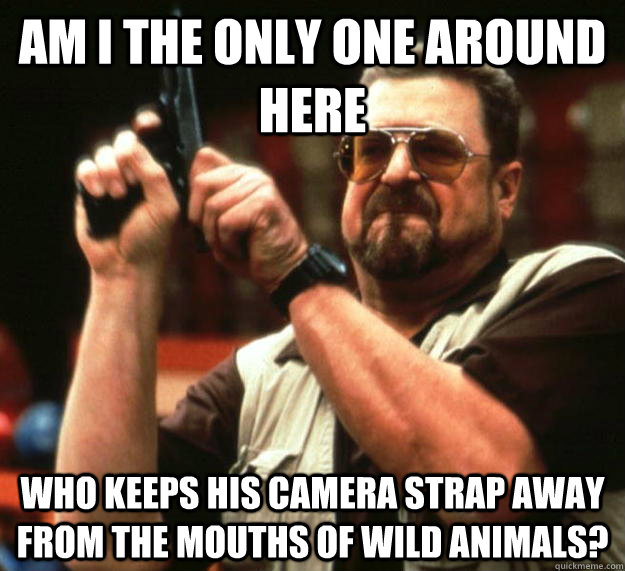 am I the only one around here who keeps his camera strap away from the mouths of wild animals?  Angry Walter