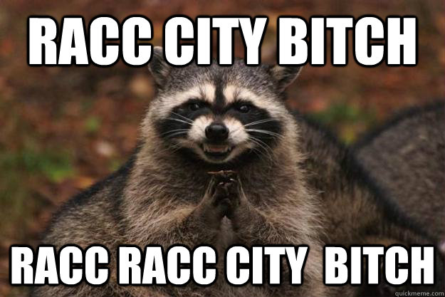 racc city bitch racc racc city  bitch  Evil Plotting Raccoon