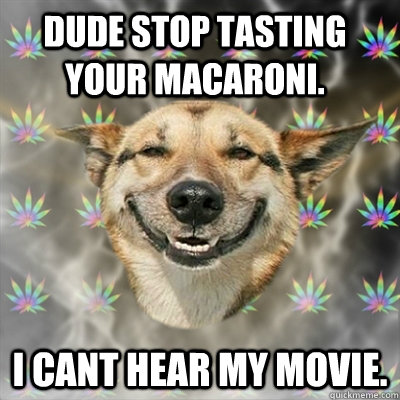 Dude stop tasting your macaroni. I cant hear my movie. - Dude stop tasting your macaroni. I cant hear my movie.  Stoner Dog