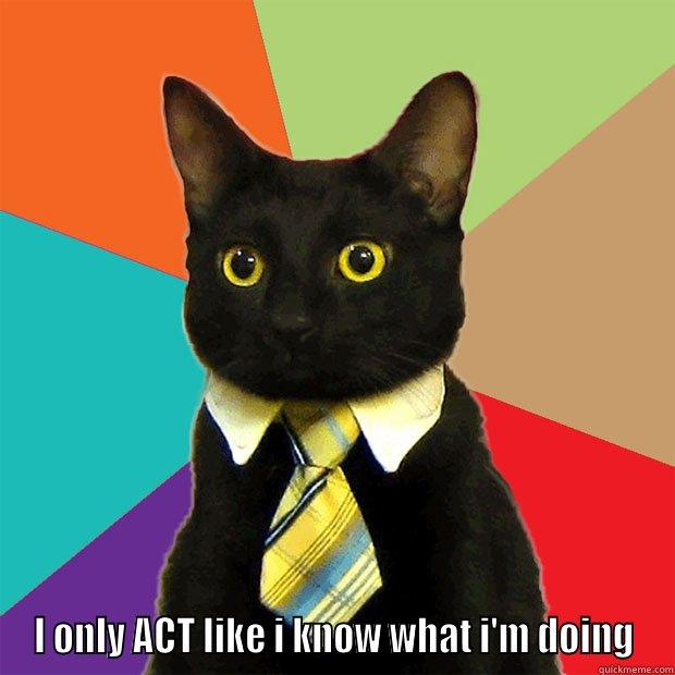  I ONLY ACT LIKE I KNOW WHAT I'M DOING Business Cat