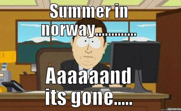 SUMMER IN NORWAY............. AAAAAAND ITS GONE..... aaaand its gone