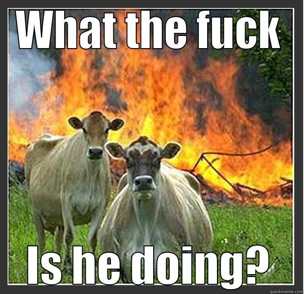 WHAT THE FUCK IS HE DOING? Evil cows