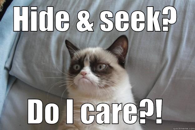 Cats hiding and seeking - HIDE & SEEK? DO I CARE?! Grumpy Cat