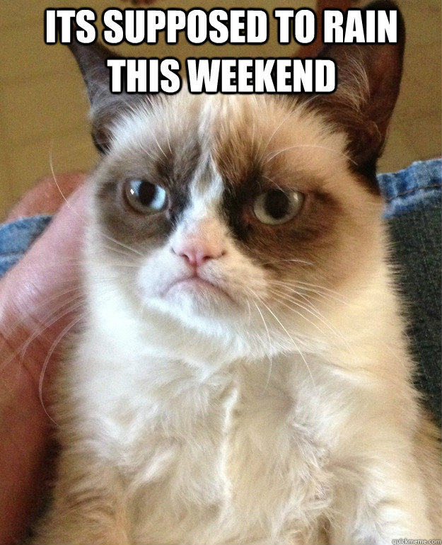 its supposed to rain this weekend   Grumpy Cat