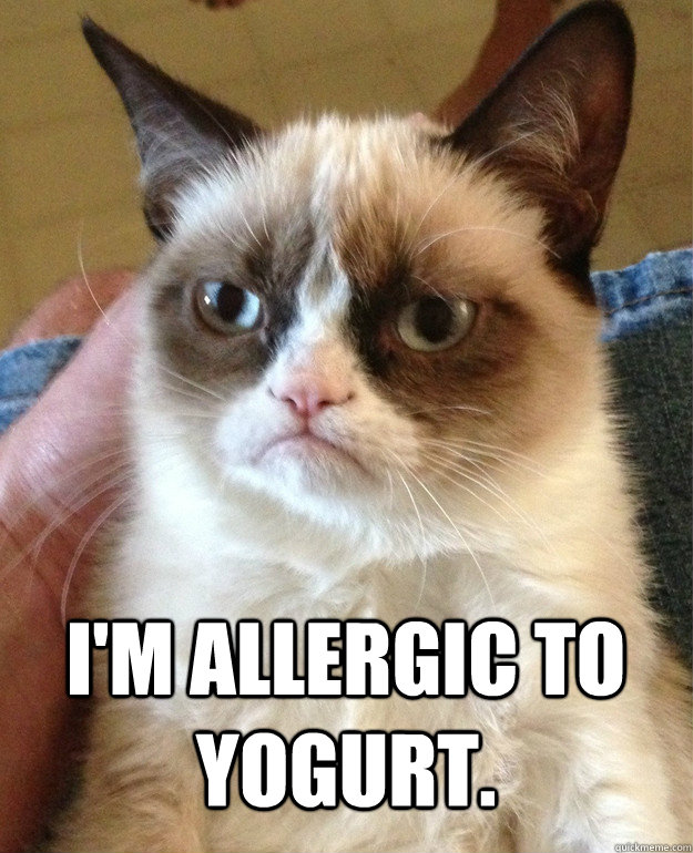  I'm allergic to yogurt.  Grumpy Cat