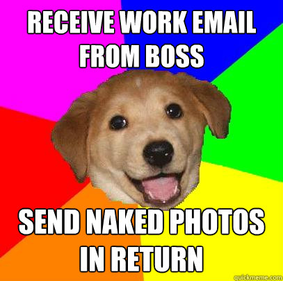 Receive work email from Boss Send naked photos in return  Advice Dog